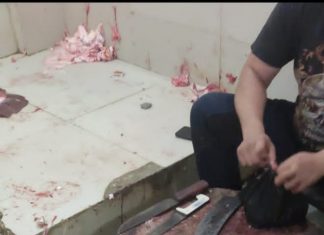 महाकाल निकासी मार्ग पर निर्मित दुकानों में काट रहे पशुओं का मांस