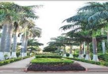 मौसम ने ली करवट, लगने लगी गर्मी, उतरने लगे गर्म कपड़े