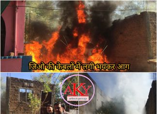 3 पक्षी विवाद में लिप्त प्लाट पर लगी भीषण आग