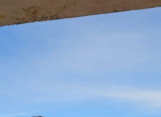 आरोपी अश्विन कासलीवाल के आगे पुलिस चिमनगंज नतमस्तक