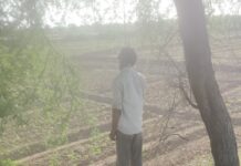 झाड़ से लटका मिला किसान का शव, हत्या या आत्महत्या की गुत्थी में उलझी पुलिस