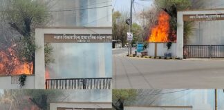 प्रशासनिक संकुल कलेक्टर ऑफिस के बाहर लगी भीषण आग धू-धू कर जले बांस और हमलावर हुई मधुमक्खियां!