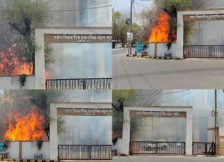 प्रशासनिक संकुल कलेक्टर ऑफिस के बाहर लगी भीषण आग धू-धू कर जले बांस और हमलावर हुई मधुमक्खियां!