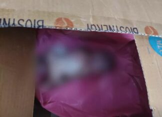 एमवाय अस्पताल के सरकारी डेथ वारंट वाले बाथरूम में मिला तीन माह के मासूम का शव, खाकी और प्रबंधन के दावों की खुली पोल
