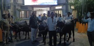 मवेशी चोर गिरोह का पर्दाफाश: खाचरोद पुलिस ने पकड़ी देवीसिंह कटारा गैंग